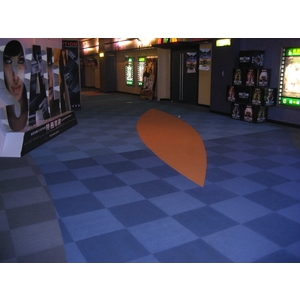 威尼斯影城地毯舖設工程