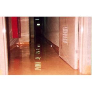 止滑型地板 , 帝華實業股份有限公司