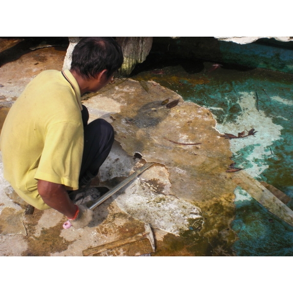 打除防水工程施工-日陞企業有限公司