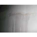 壁癌抓漏工程 - 日陞企業有限公司