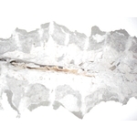 壁癌抓漏工程 - 日陞企業有限公司