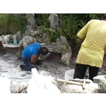 打除防水工程施工 - 日陞企業有限公司