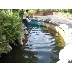 打除防水工程施工