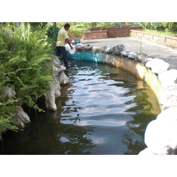 打除防水工程施工,日陞企業有限公司