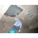 越南分公司-盛浩責任有限公司 - 台灣盛隆建材股份有限公司