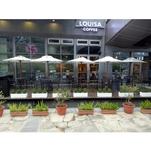 路易莎咖啡 - 大安森林公園