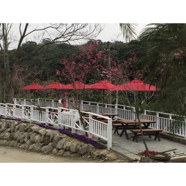 今夜星辰休閒農場 - 彰化市