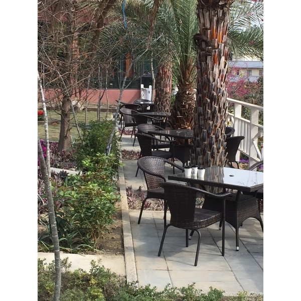 今夜星辰休閒農場 - 彰化市