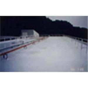 華盛頓中學屋頂(防水.防熱)