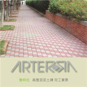 高壓混凝土磚完工實景