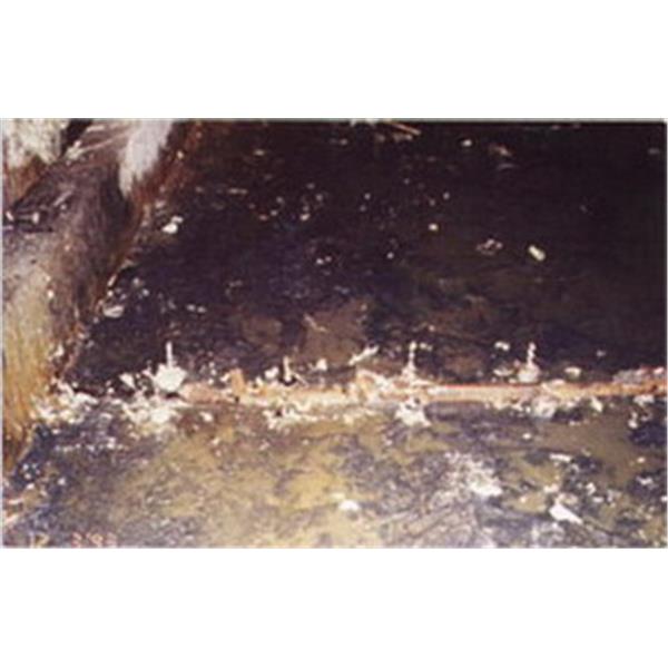 捷運系統-商勤實業有限公司