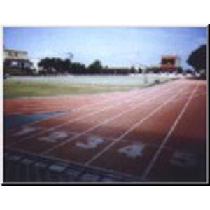 球場跑道 , 文定實業有限公司