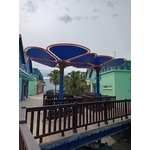 涼亭及棚架-花蓮漁港多功能漁業場館二期整建工程 - 典雅雕塑工程有限公司