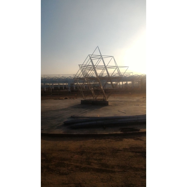 R生命之花藤蔓樹