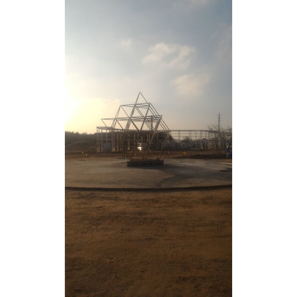 R生命之花藤蔓樹