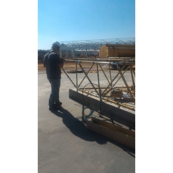 R生命之花藤蔓樹