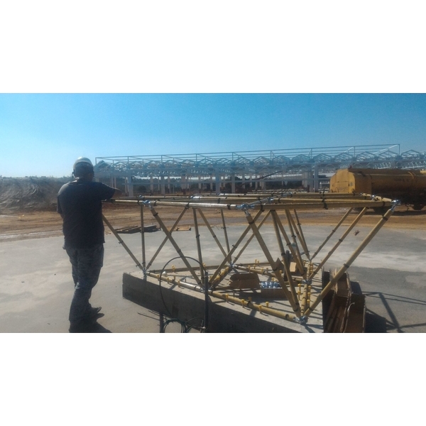 R生命之花藤蔓樹