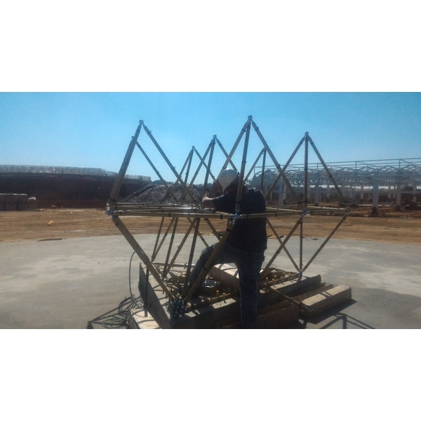 R生命之花藤蔓樹