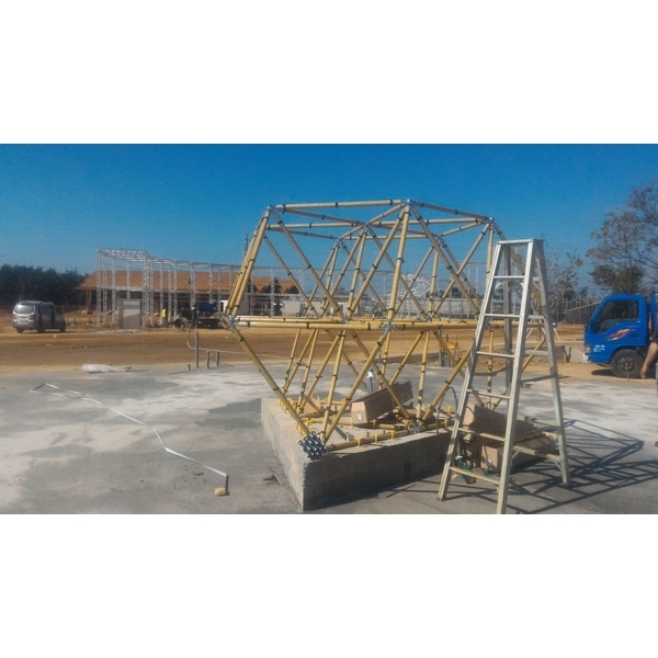 R生命之花藤蔓樹