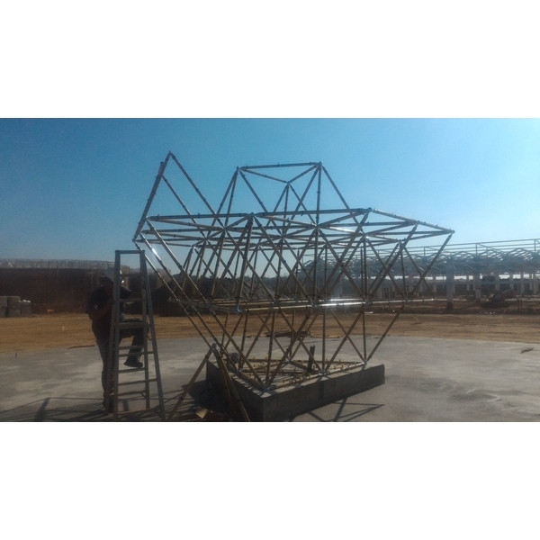 R生命之花藤蔓樹