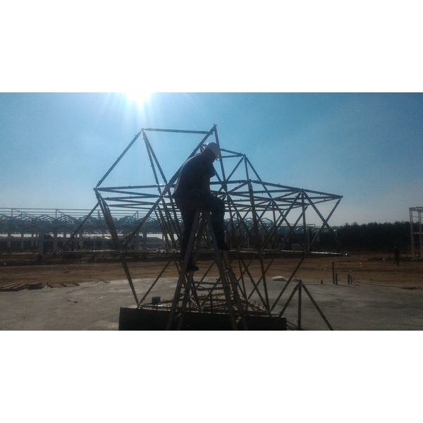 R生命之花藤蔓樹