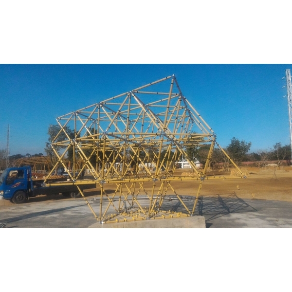 R生命之花藤蔓樹