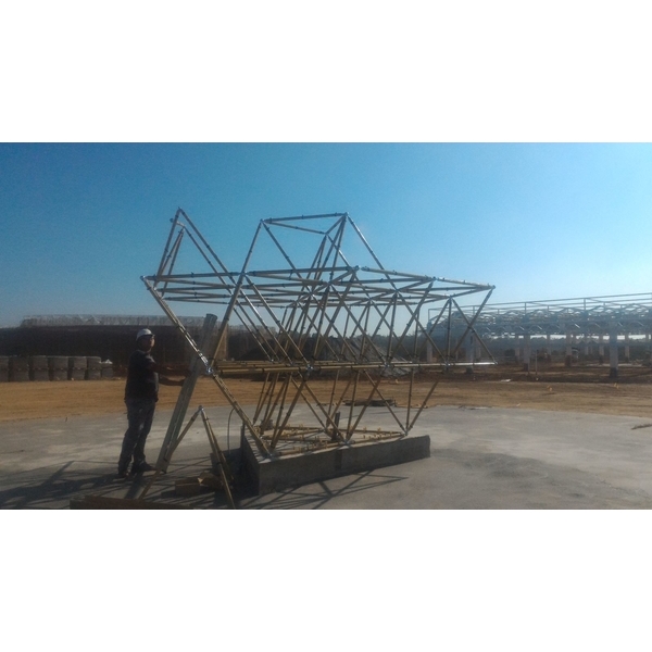 R生命之花藤蔓樹