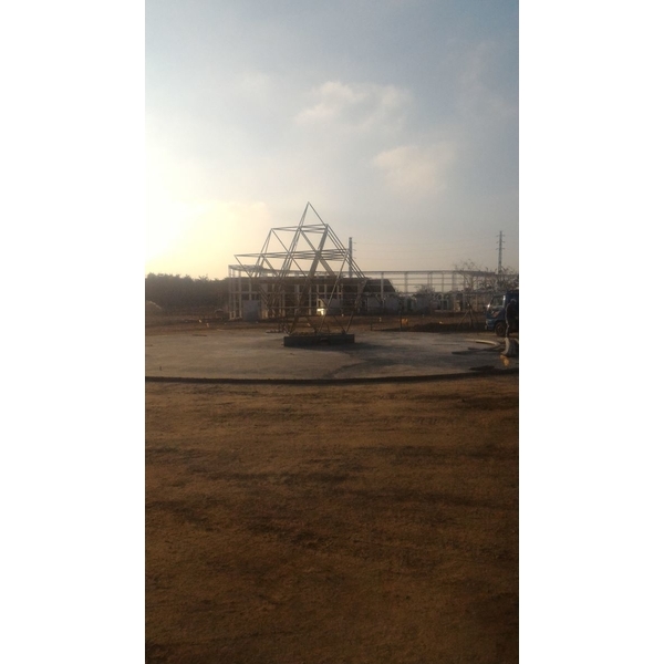 R生命之花藤蔓樹