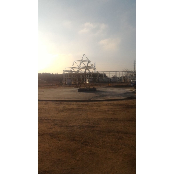 R生命之花藤蔓樹