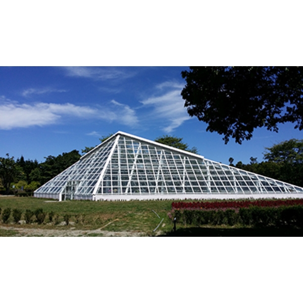 H花蓮知卡宣公園-溫室-典雅雕塑工程有限公司
