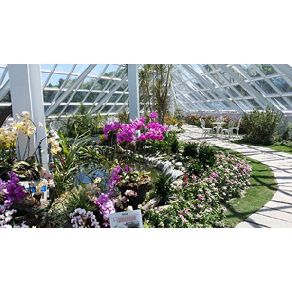 H花蓮知卡宣公園-溫室