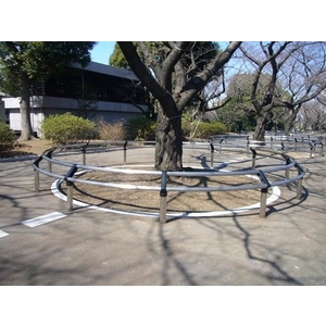 樹圍