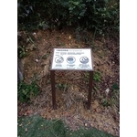 解說牌-文心森林公園新建工程 - 典雅雕塑工程有限公司