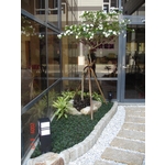 涼亭花架 - 木榭園藝藝品行