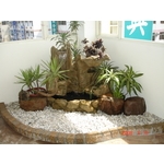 陽宅庫池 - 木榭園藝藝品行