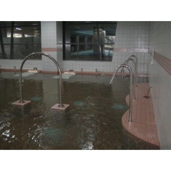 新竹體育館,維福實業有限公司