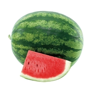 西瓜-閃亮男孩,農友種苗股份有限公司