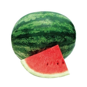 西瓜-天空皇后,農友種苗股份有限公司