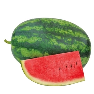 西瓜-桑尼貝爾,農友種苗股份有限公司