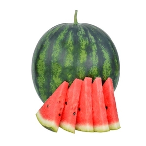 西瓜-曼波舞,農友種苗股份有限公司