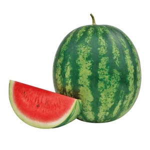 西瓜-芭蕾舞,農友種苗股份有限公司