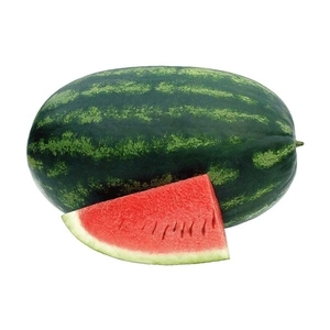 西瓜-壯舉,農友種苗股份有限公司