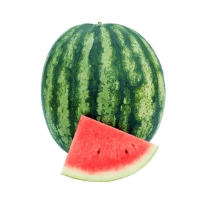 西瓜-托迪,農友種苗股份有限公司