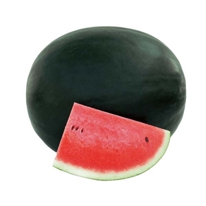 西瓜-光明公爵夫人,農友種苗股份有限公司