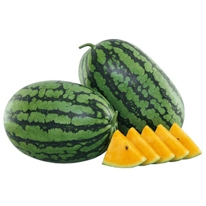 西瓜-甜蜜羅賓,農友種苗股份有限公司