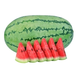 西瓜-辛巴,農友種苗股份有限公司