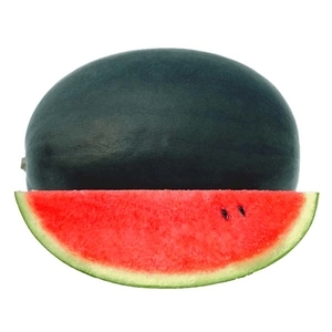 西瓜-斯凱拉,農友種苗股份有限公司