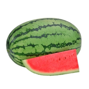 西瓜-槍騎兵,農友種苗股份有限公司