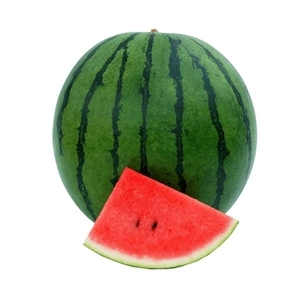 西瓜-細光,農友種苗股份有限公司