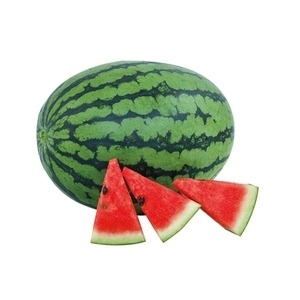 西瓜-感覺,農友種苗股份有限公司